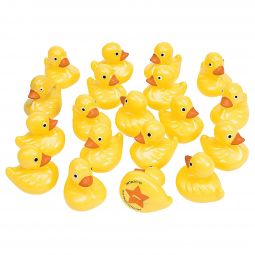 Duck Matching Game Set - 20 Piece