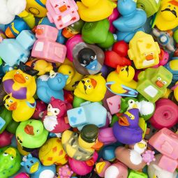 Rubber Duck Assortment - 50 Count