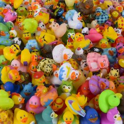 Rubber Duck Assortment - 2 Inch - 500 Count