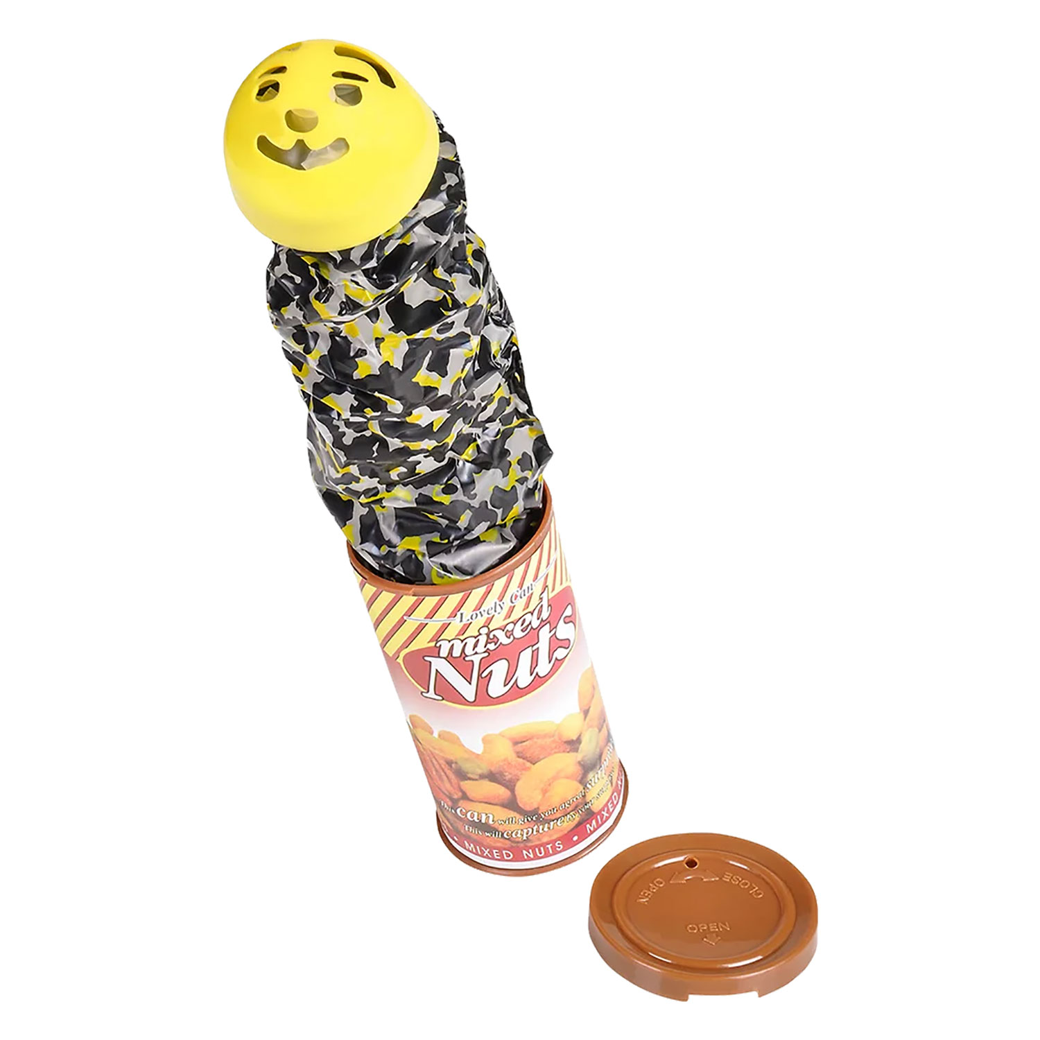 Snake in a Can 12 Count Rebecca's Toys & Prizes