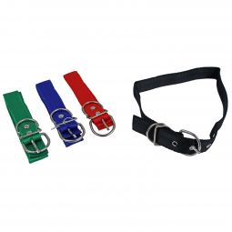 Adjustable Dog Collar - Assorted Colors